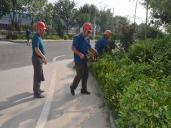 鞏固衛(wèi)生城 我們?cè)谛袆?dòng)